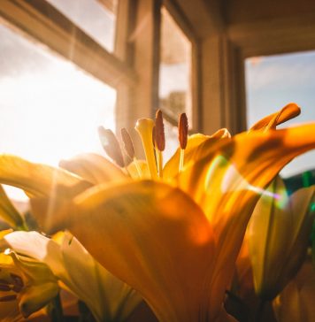 Gør boligen sommerklar Hus om sommeren