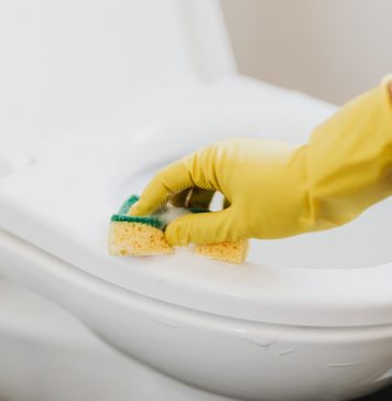 Hold dit toilet kalkfrit toilet